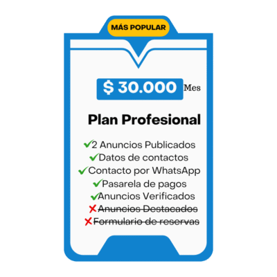 Plan Profesional