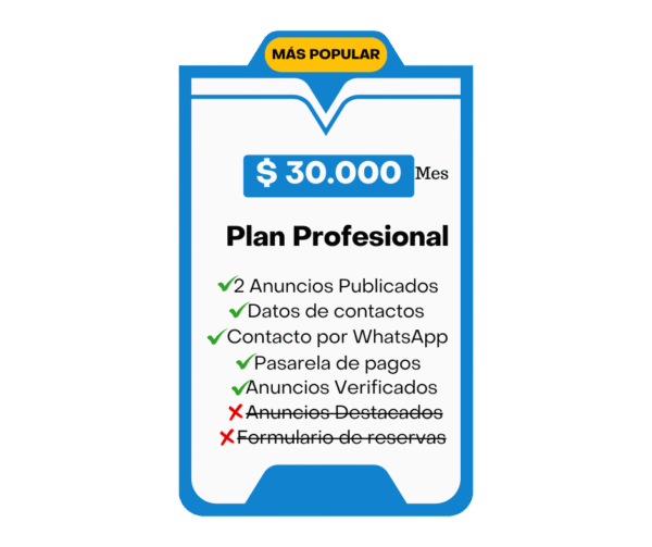 Plan Profesional